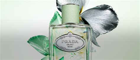 profumo prada les infusions|prada ginger infusion.